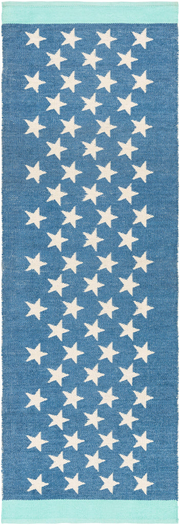 Surya Picnic PIC-4010 Aqua Blue 2' x 3' Rug