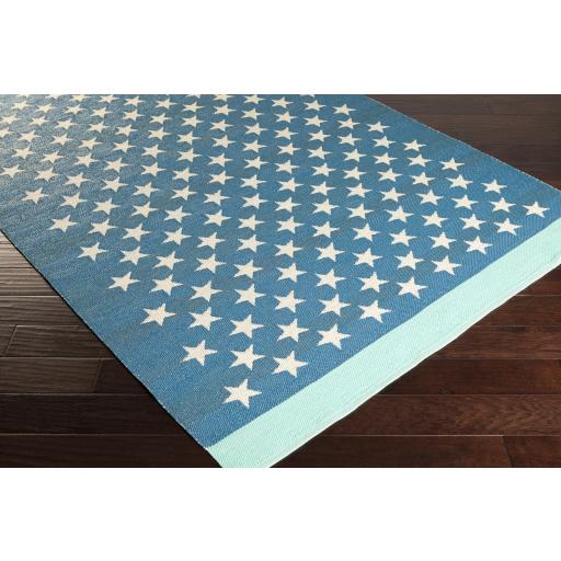 Surya Picnic PIC-4010 Aqua Blue 2' x 3' Rug