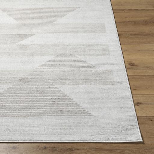 Surya Pisa PSS-2388 Gray Light Brown 5' x 7' Rug