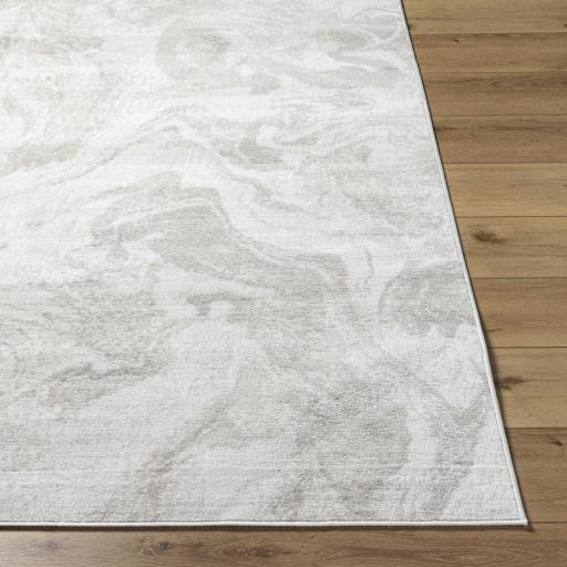 Surya Pisa PSS-2390 Gray Light Brown 5' x 7' Rug