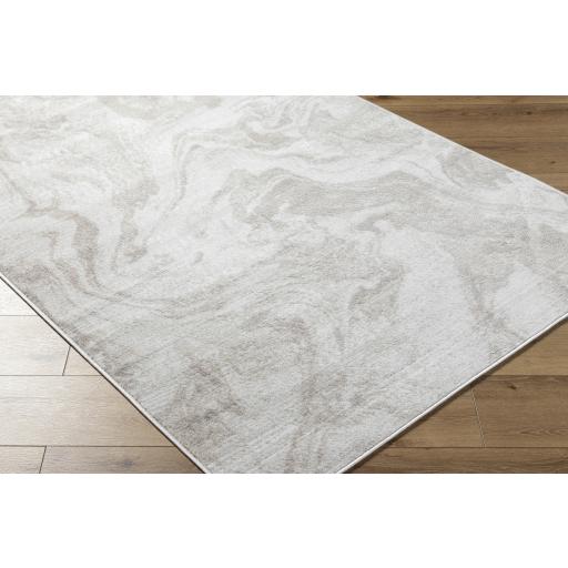 Surya Pisa PSS-2390 Gray Light Brown 5' x 7' Rug