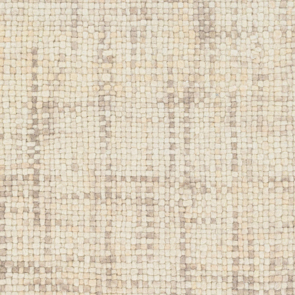 Surya Plymouth PLM-4001 Cream Taupe 2' x 3' Rug