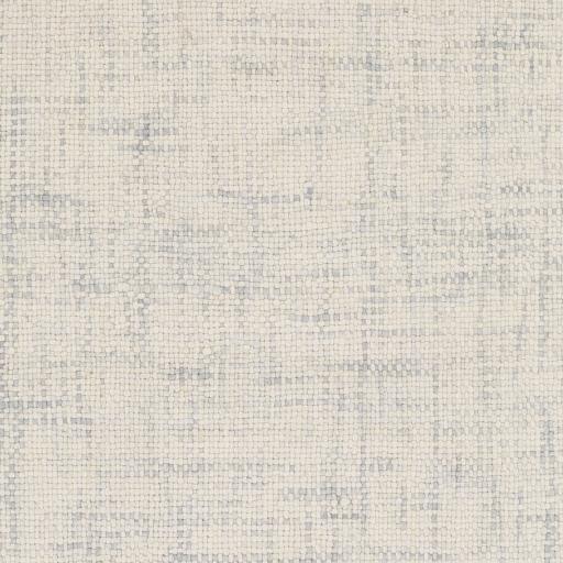 Surya Plymouth PLM-4004 Gray Ivory 2' x 3' Rug