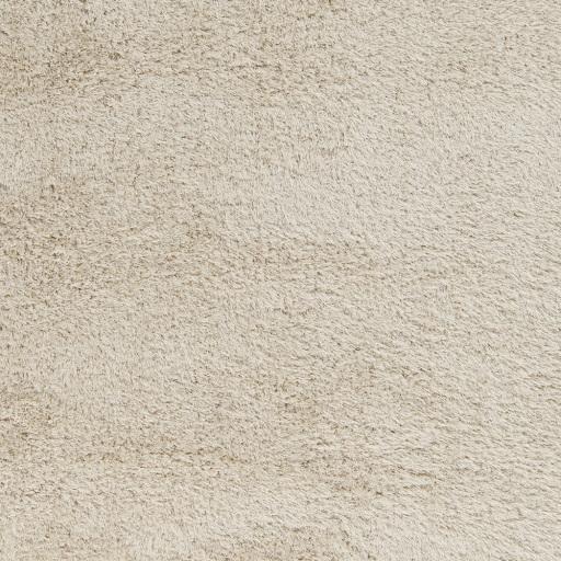 Surya Portland PLD-2001 Cream 2' x 3' Rug