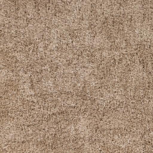 Surya Portland PLD-2003 Tan 2' x 3' Rug