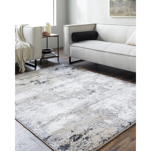 Surya Portofino PTF-2321 Beige Charcoal 5'3" x 7' Rug