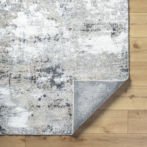 Surya Portofino PTF-2321 Beige Charcoal 5'3" x 7' Rug