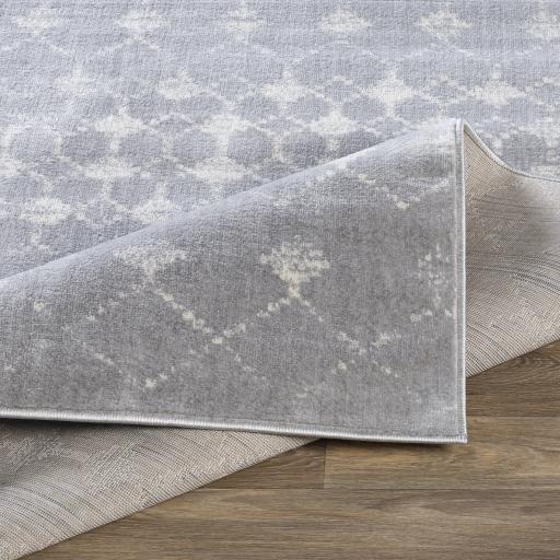 Surya Roma ROM-2333 Gray White 8'11" x 12'4" Rug