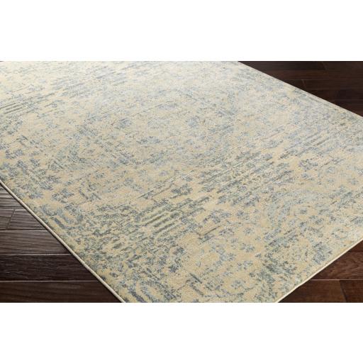 Surya Serene SRE-1016 Beige Charcoal 8'10" x 12'10" Rug