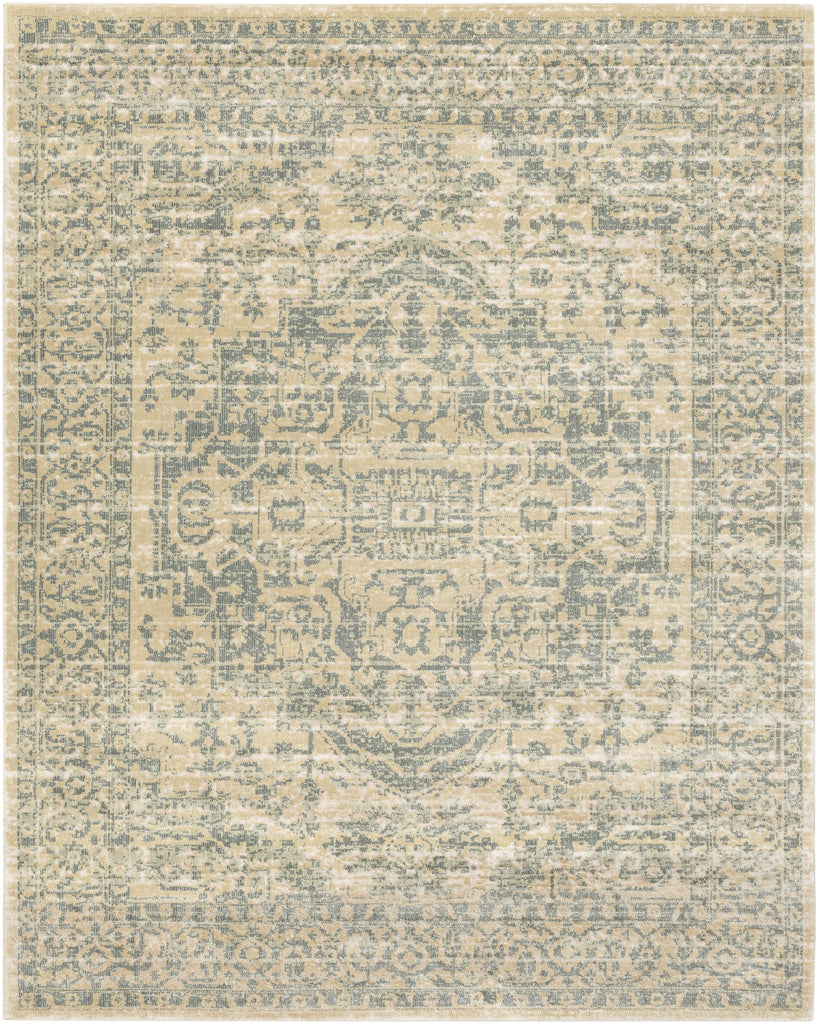 Surya Serene SRE-1017 Beige Charcoal 8'10" x 12'10" Rug