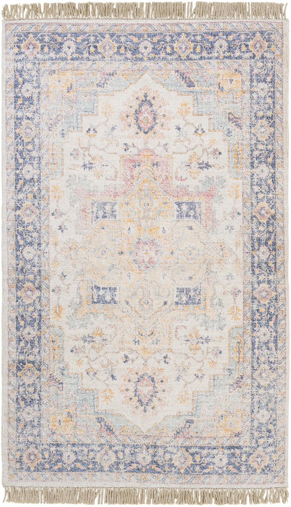 Surya Sivas SVS-2301 Aqua Beige 2' x 3' Rug