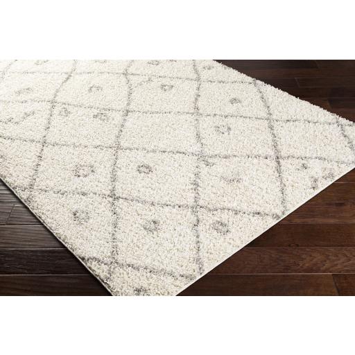 Surya Taza Shag TZS-2317 Cream Gray 7'10" x 10' Rug