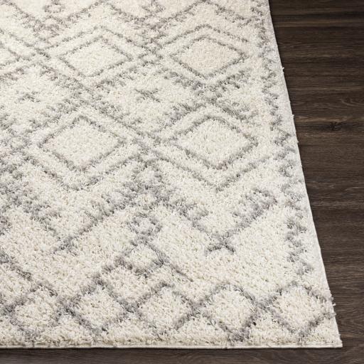 Surya Taza Shag TZS-2326 Cream Gray 5'2" x 7' Rug