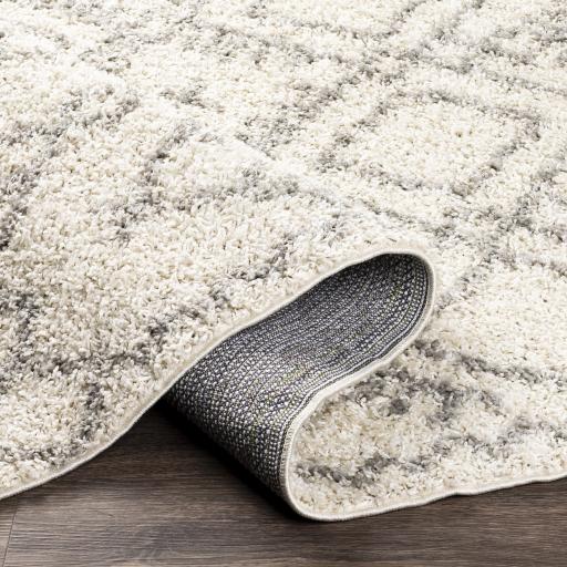 Surya Taza Shag TZS-2326 Cream Gray 5'2" x 7' Rug