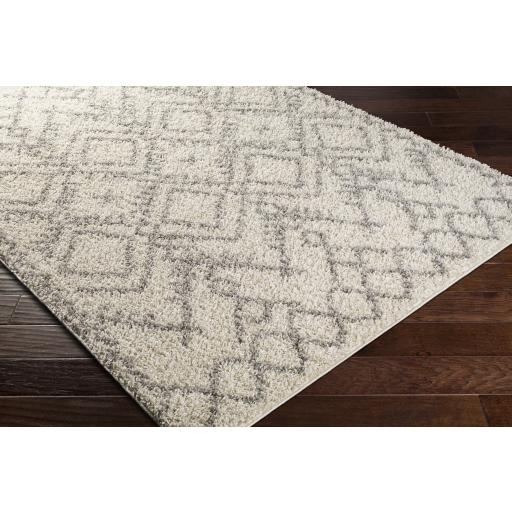 Surya Taza Shag TZS-2326 Cream Gray 5'2" x 7' Rug