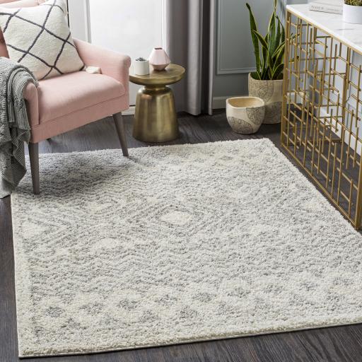 Surya Taza Shag TZS-2342 Cream Gray 5'2" x 7' Rug