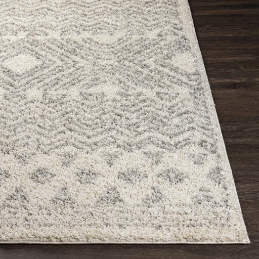 Surya Taza Shag TZS-2342 Cream Gray 5'2" x 7' Rug