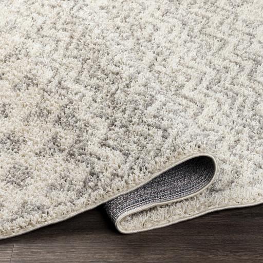 Surya Taza Shag TZS-2342 Cream Gray 5'2" x 7' Rug