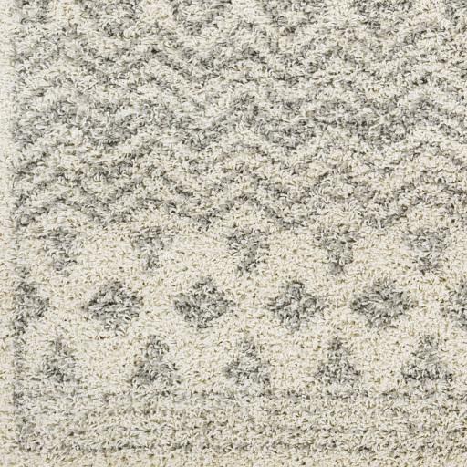 Surya Taza Shag TZS-2342 Cream Gray 5'2" x 7' Rug