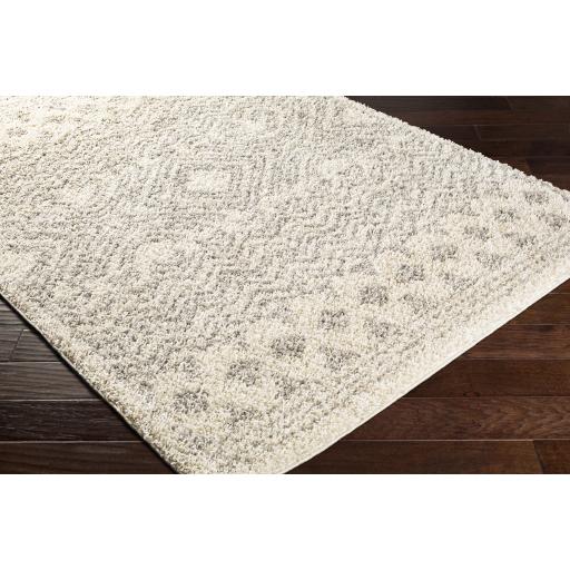 Surya Taza Shag TZS-2342 Cream Gray 5'2" x 7' Rug