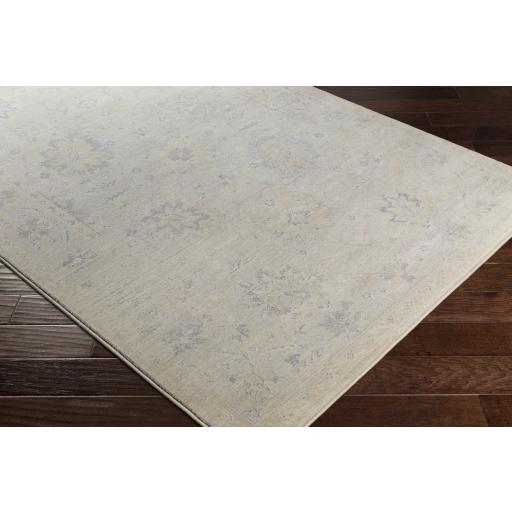 Surya Tranquil TQL-1001 Ivory Light Gray 2' x 2'11" Rug