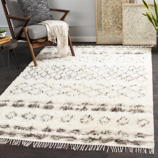 Surya Tulum TMU-2303 Beige Dark Brown 9' x 12' Rug