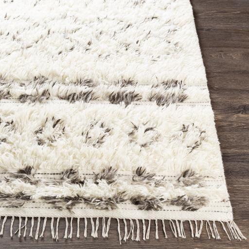 Surya Tulum TMU-2303 Beige Dark Brown 9' x 12' Rug