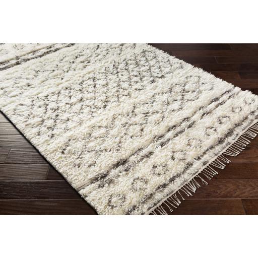 Surya Tulum TMU-2303 Beige Dark Brown 9' x 12' Rug