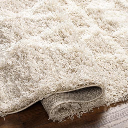 Surya Urban Shag USG-2345 Ivory Light Beige 9'2" x 12' Rug