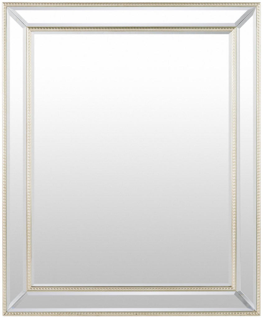 Surya Constantine TTO-001 Champagne 34"H x 28"W x 1"D Mirror