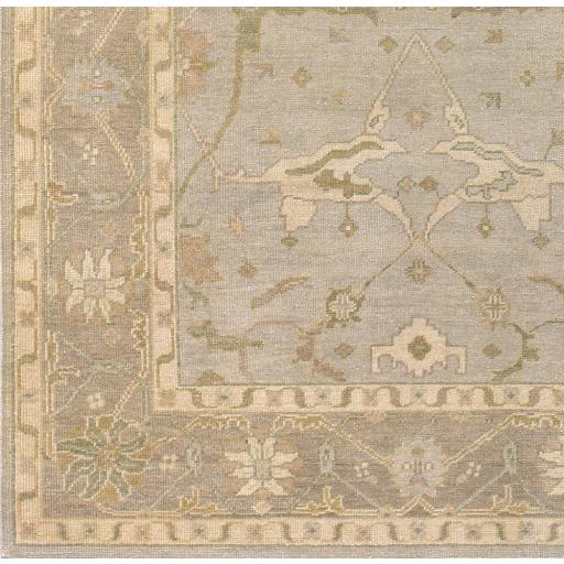 Surya Ainsley AIN-1000 Beige Light Gray 3'9" x 5'9" Rug