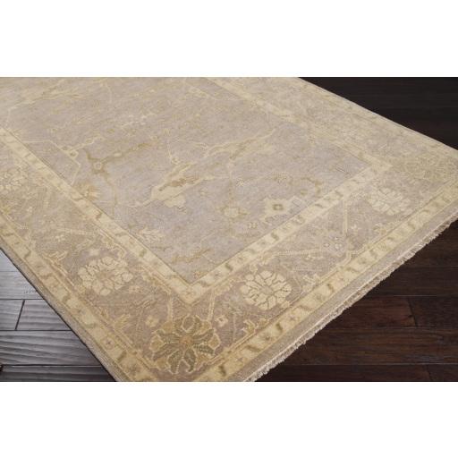 Surya Ainsley AIN-1000 Beige Light Gray 3'9" x 5'9" Rug