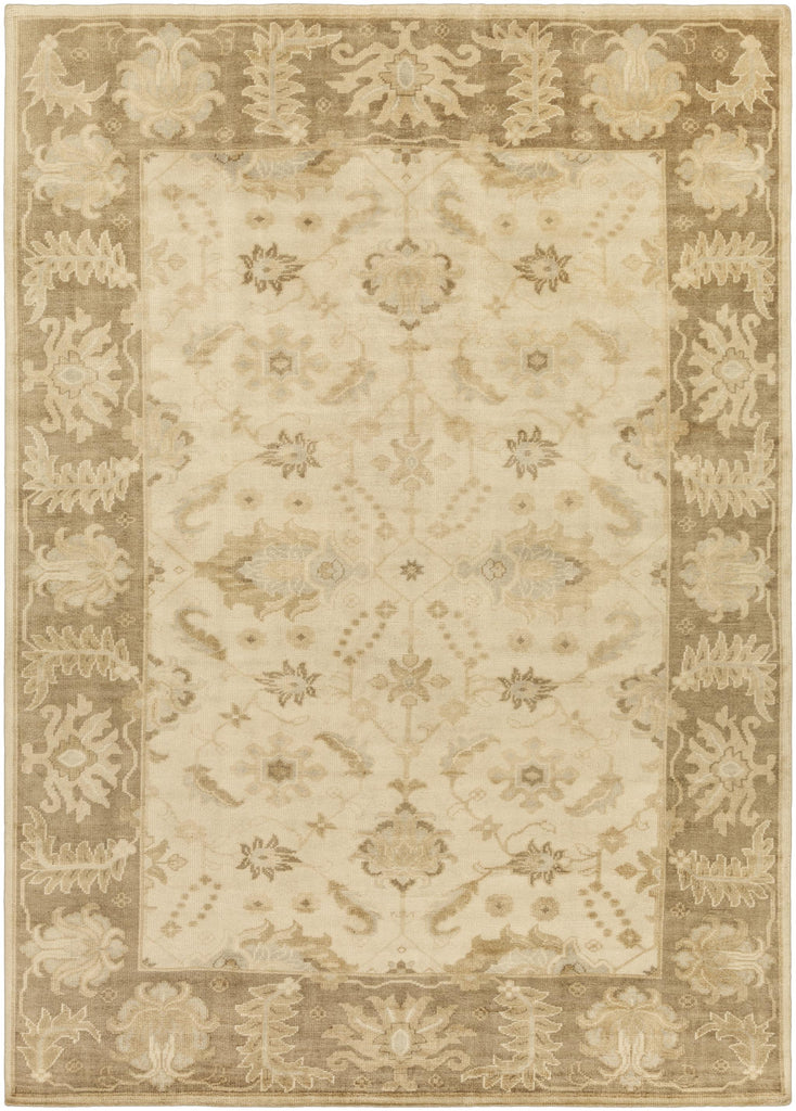 Surya Ainsley AIN-1017 Ice Blue Light Beige 2' x 3' Rug