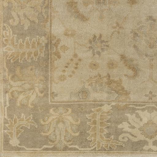 Surya Ainsley AIN-1017 Ice Blue Light Beige 2' x 3' Rug