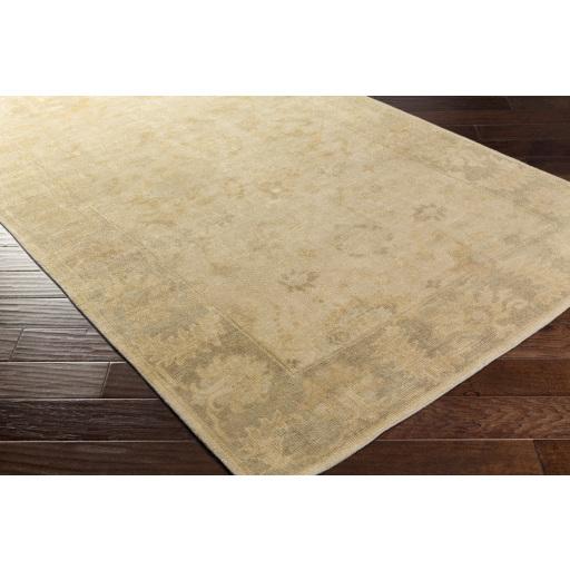 Surya Ainsley AIN-1017 Ice Blue Light Beige 2' x 3' Rug