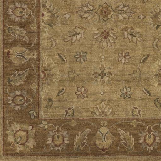 Surya Alanya ALA-2503 Cream Dark Brown 2' x 3' Rug