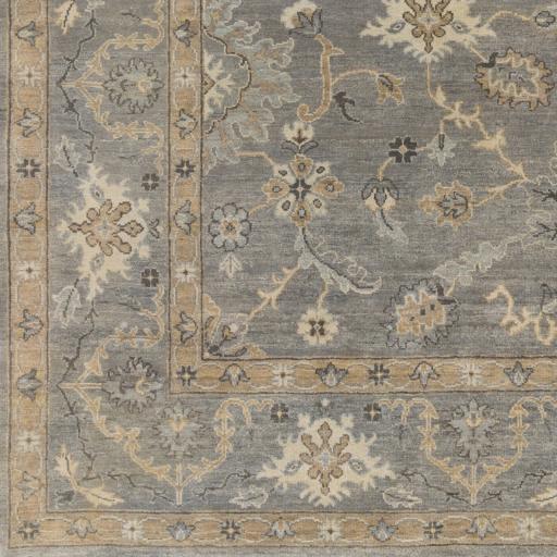 Surya Alanya ALA-2504 Charcoal Gray 2' x 3' Rug