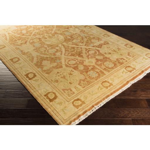 Surya Antique ATQ-1002 Brown Burnt Orange 2' x 3' Rug