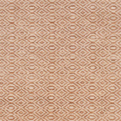 Surya Astara ASA-1001 Beige Burnt Orange 2' x 3' Rug