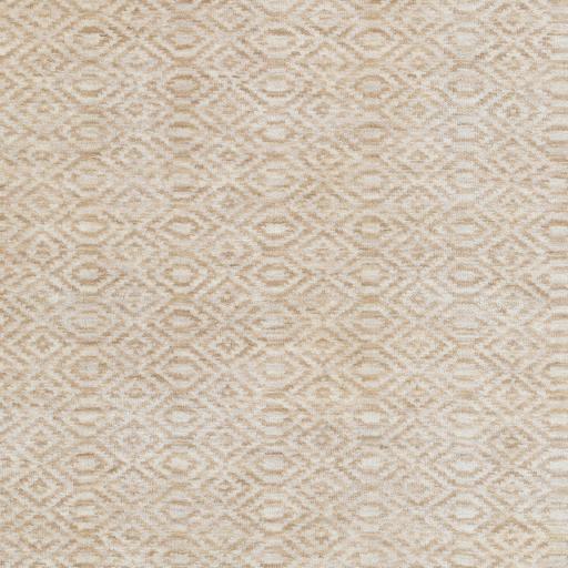 Surya Astara ASA-1002 Light Beige Tan 2' x 3' Rug