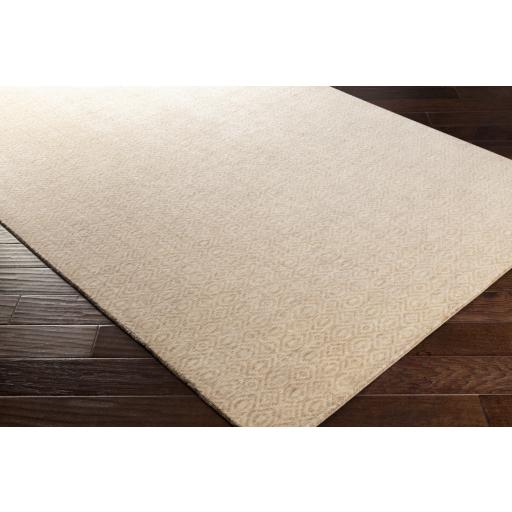 Surya Astara ASA-1002 Light Beige Tan 2' x 3' Rug