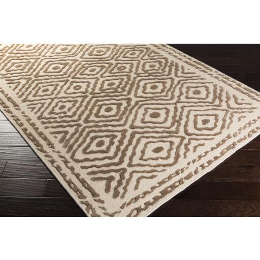 Surya Atlas ATS-1006 Brown Light Beige 2' x 3' Rug