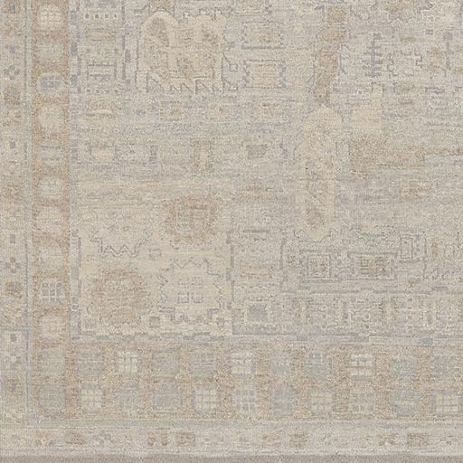 Surya Bala BAA-5002 Ivory Medium Brown 8' x 10' Rug