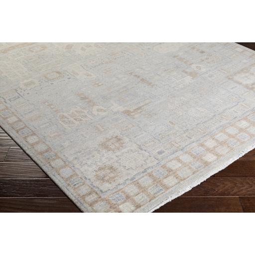 Surya Bala BAA-5002 Ivory Medium Brown 8' x 10' Rug