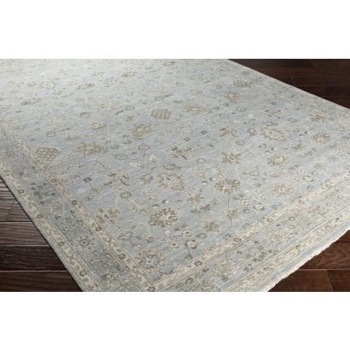 Surya Bala BAA-5005 Gray Medium Gray 2' x 3' Rug