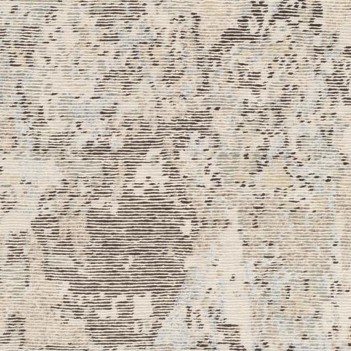 Surya Baranof BRF-1001 Cream Dark Brown 8' x 11' Rug