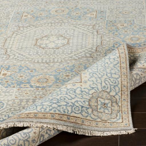 Surya Cambridge CMB-8014 Aqua Dark Brown 2' x 3' Rug