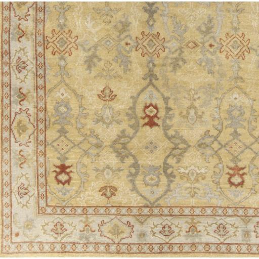 Surya Castle CSL-6000 Beige Burnt Orange 2' x 3' Rug