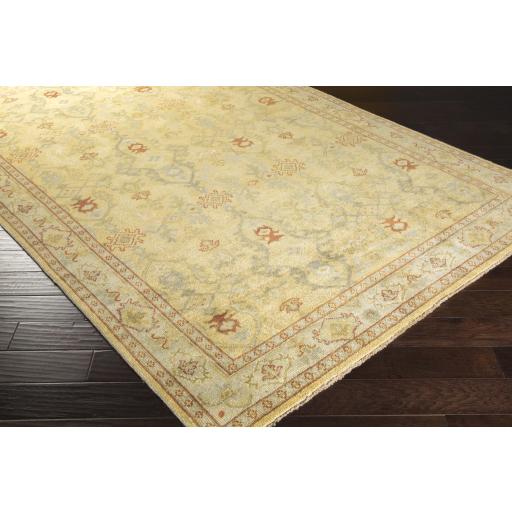 Surya Castle CSL-6000 Beige Burnt Orange 2' x 3' Rug