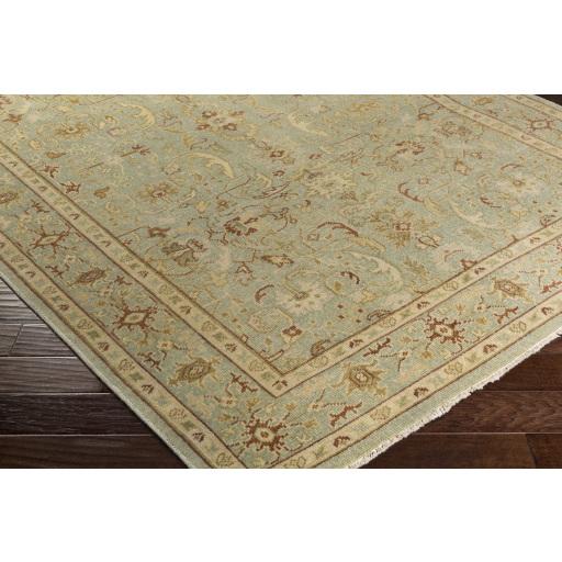 Surya Castle CSL-6003 Dark Brown Dusty Sage 2' x 3' Rug